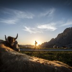 TS_RUN_EIGER-ULTRA-TRAIL_D152529